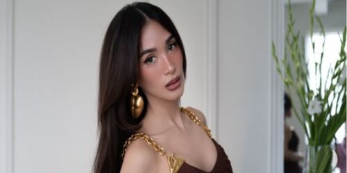 Heart Evangelista 1