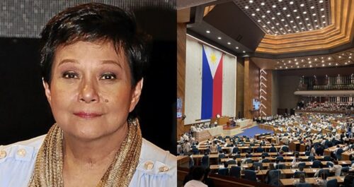 Nora Aunor, House of Representatives