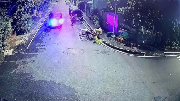 Pasig Plant Theft