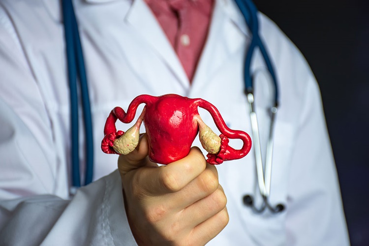 Uterus