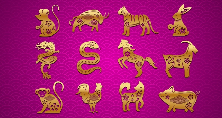Year of the Wood Snake