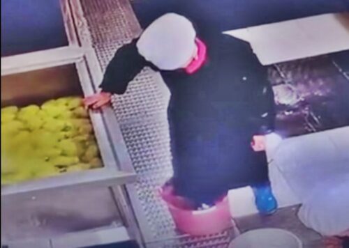 Unsanitary Canteen Practice