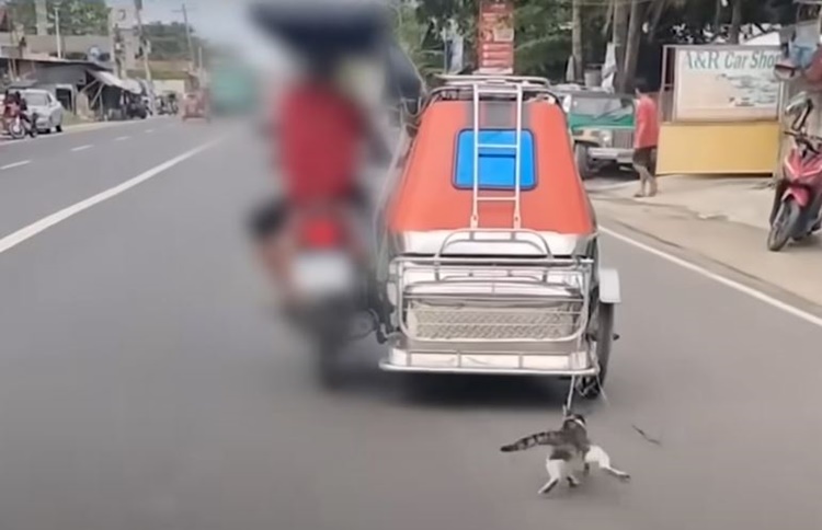 LTO