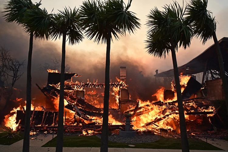 la wildfires 2025