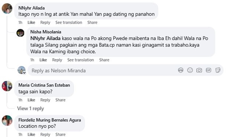Lady Netizen