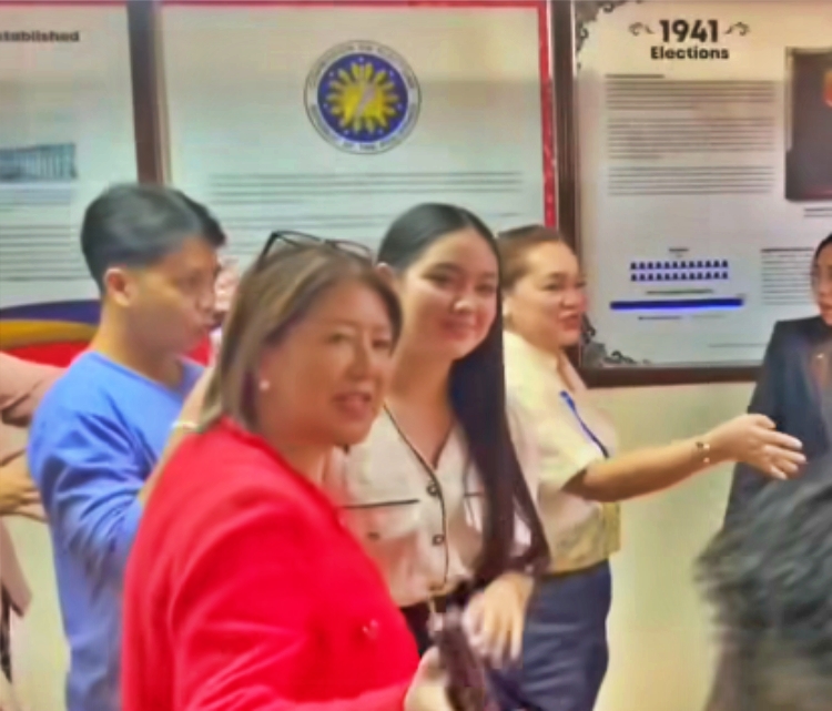 it's showtime contestant
