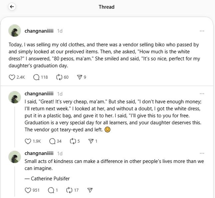 Lady Netizen