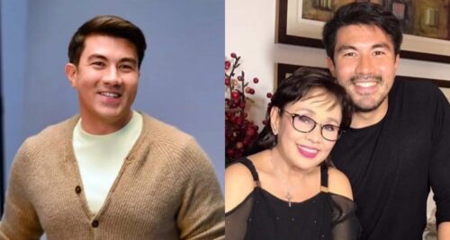 luis manzano vilma santos
