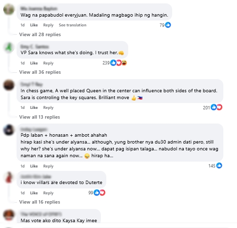 Harry Roque Post Comments