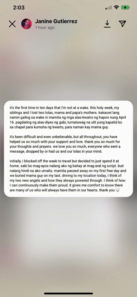 janine gutierrez post