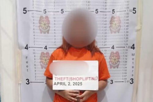 Female Shoplifter