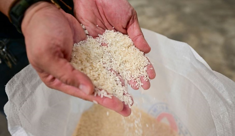 affordable rice