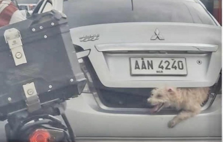 LTO