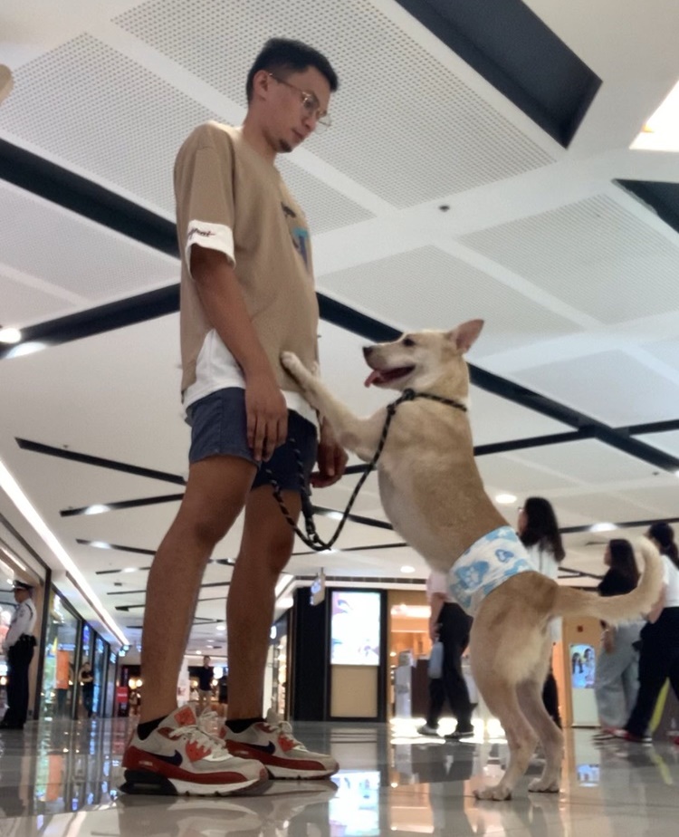 Fur Parent