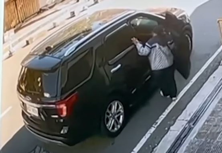Thieves