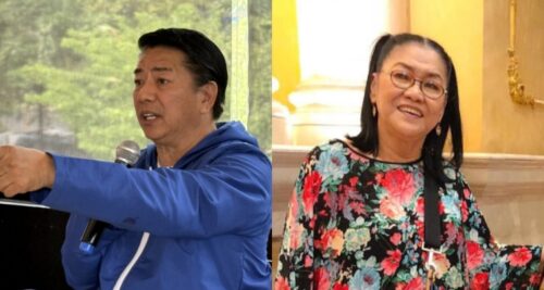 willie revillame lolit solis