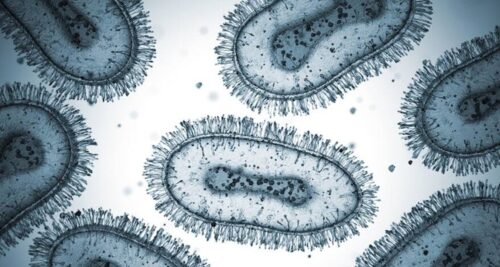 Mpox In Negros Occidental