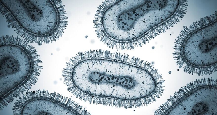 Mpox In Negros Occidental