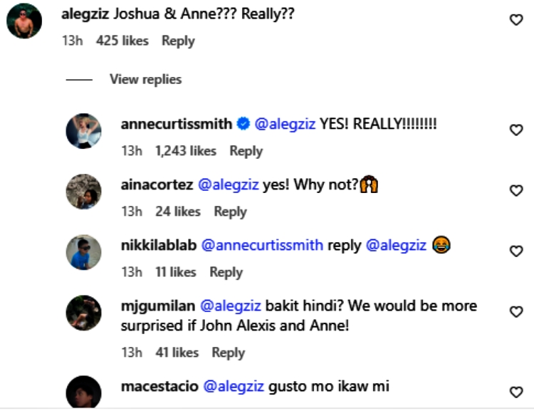 anne curtis comments