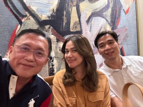 bea alonzo vincent co bong go