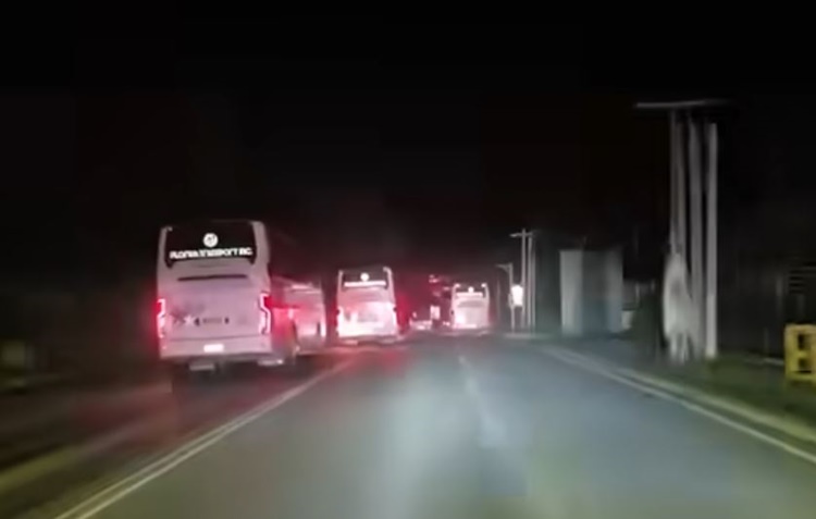 Buses