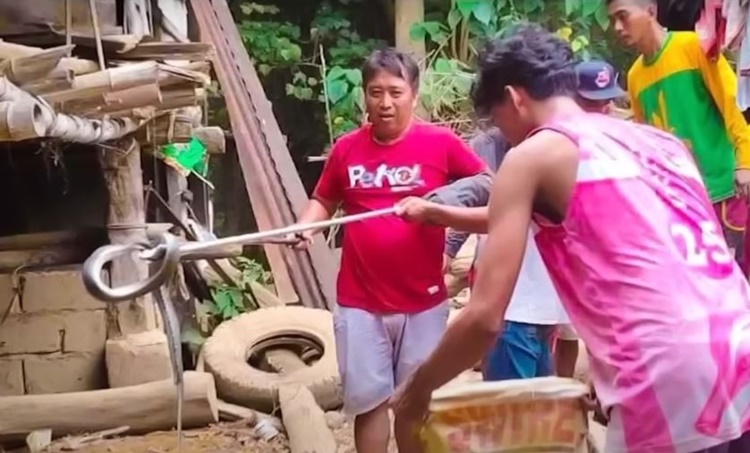 Cobra Bite