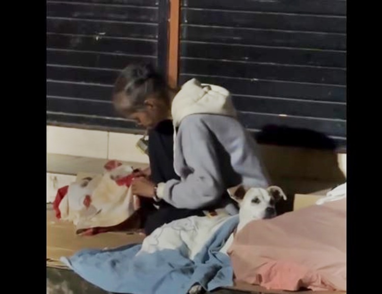 Heartwarming Video