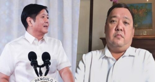 Harry Roque, Bongbong Marcos