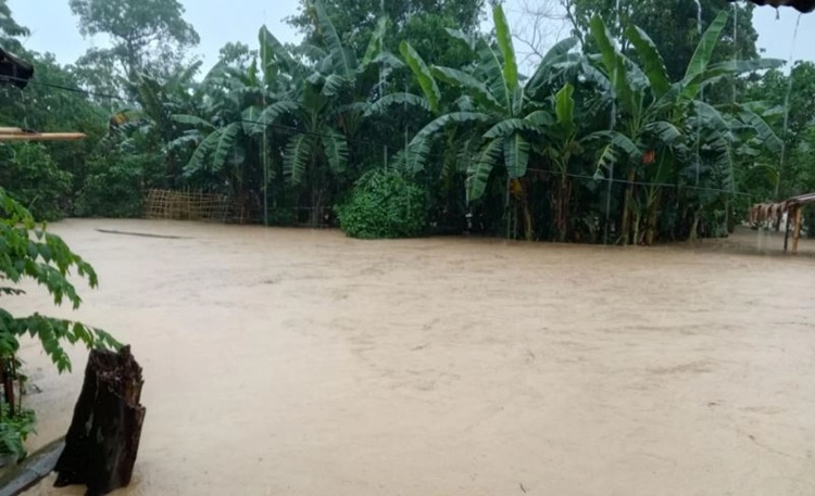 Severe Tropical Storm Crising