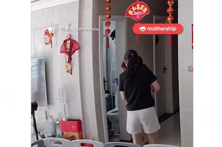 Housemaid