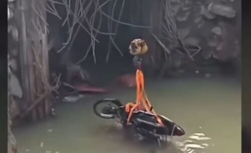 Drunk Motorcycle Rider