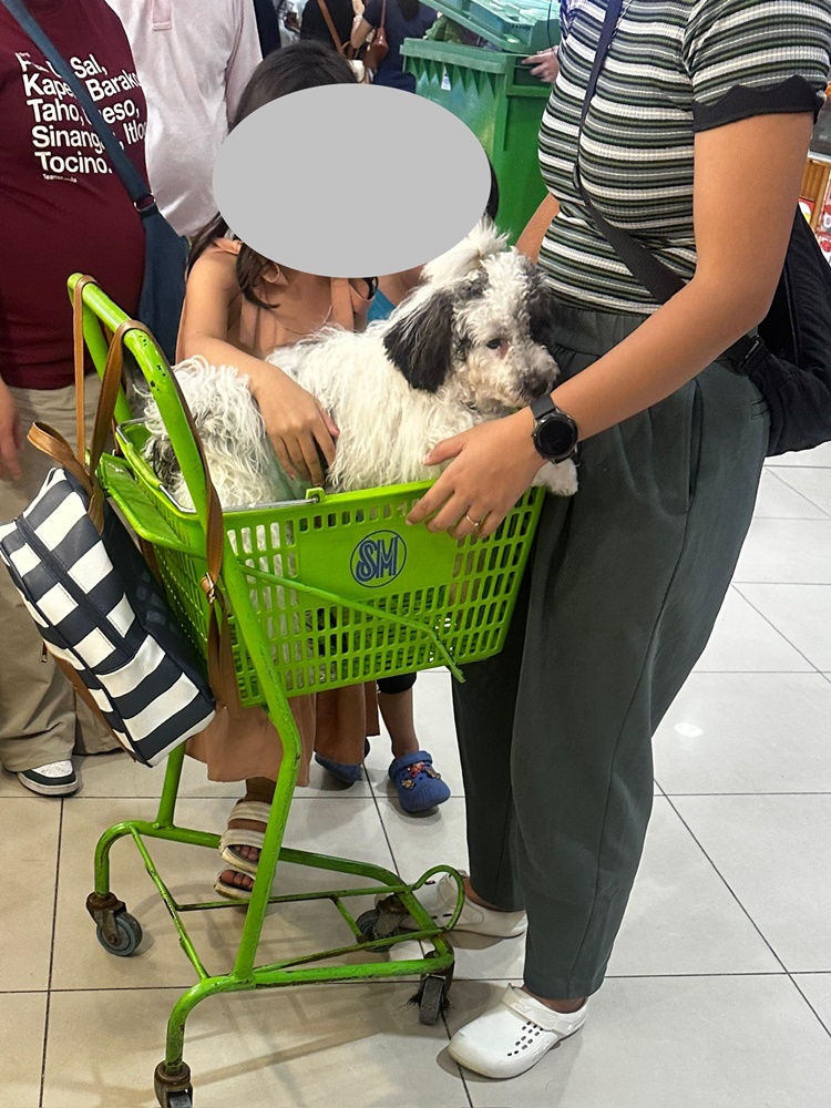 Lady Shopper