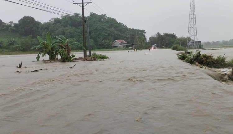 Flood