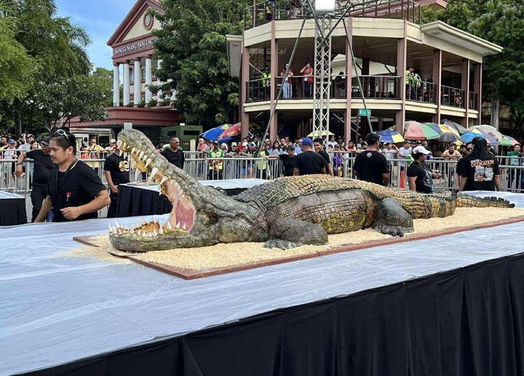 Crocodile Cake