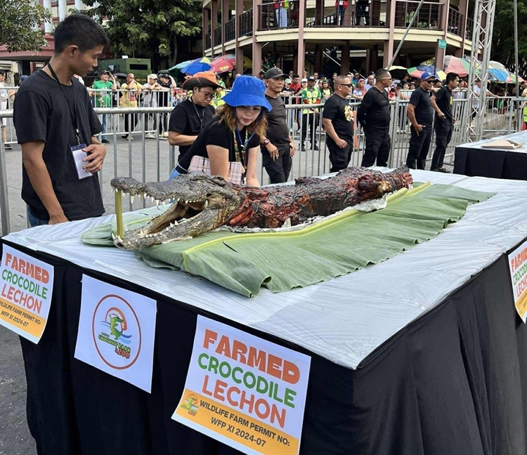 Crocodile Lechon