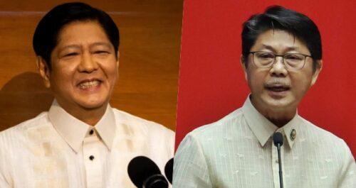 House Speaker Bojie Dy, Bongbong Marcos