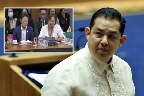 House Speaker Martin Romualdez, Discayas