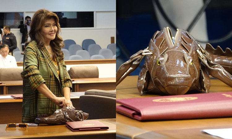 Imee Marcos, Buwaya Bag