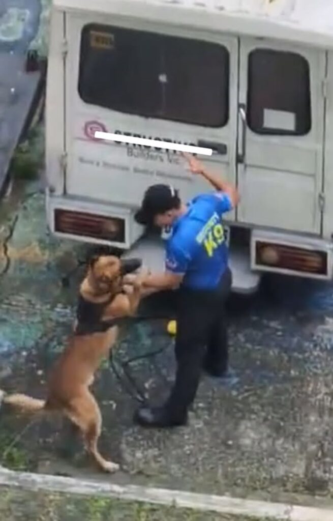 K9 Handler