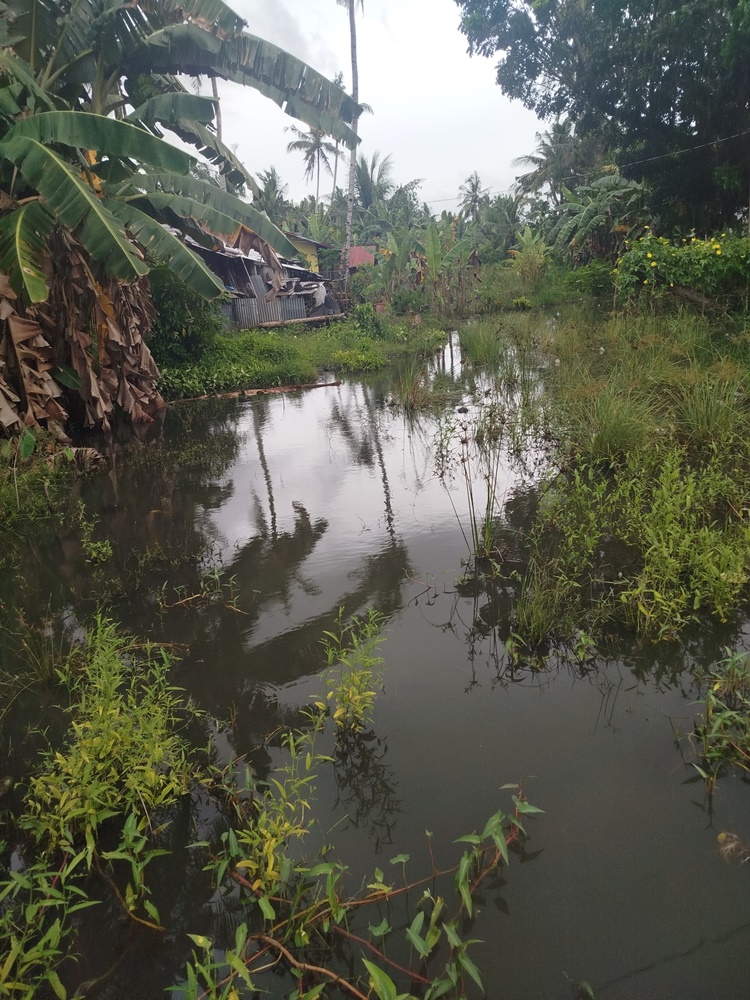 Floodwaters