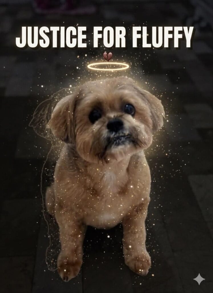 Pet Groomer
