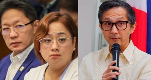 DPWH Chief Vince Dizon, Discayas