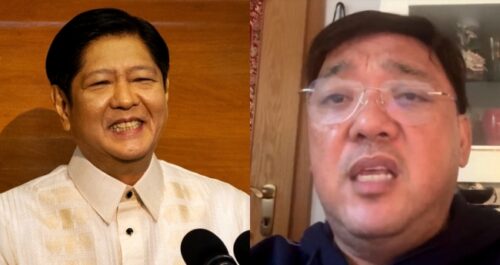 Harry Roque, Bongbong Marcos