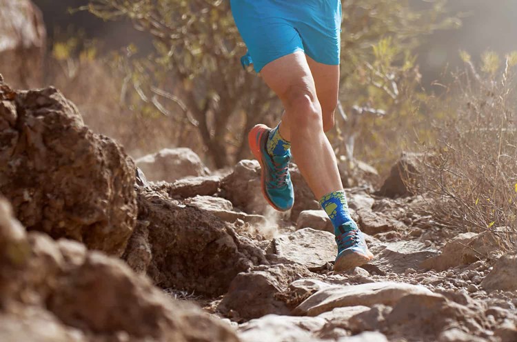 Trail Runner