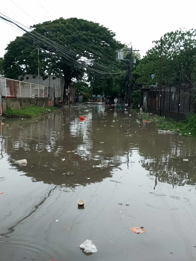 Heavy Rains