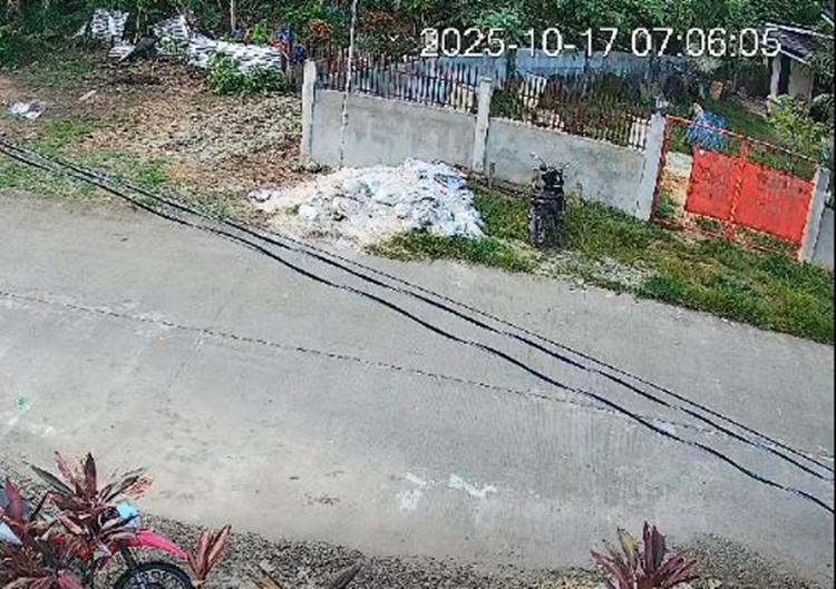 Magnitude 6.0 Earthquake