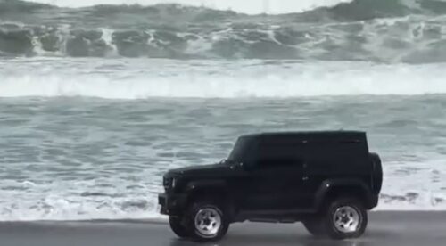 Pawikan Nesting Site