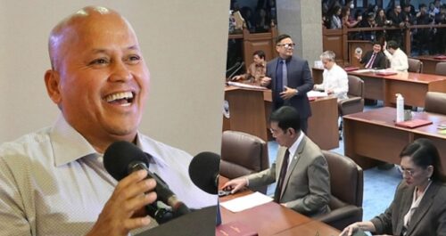 Bato dela Rosa, Senate