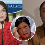 Malacañang, Zaldy Co, Bongbong Marcos