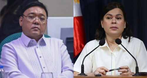 Sara Duterte, Harry Roque